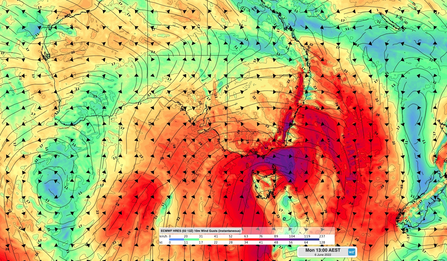 The wind gust speed and direction on Monday June 6.