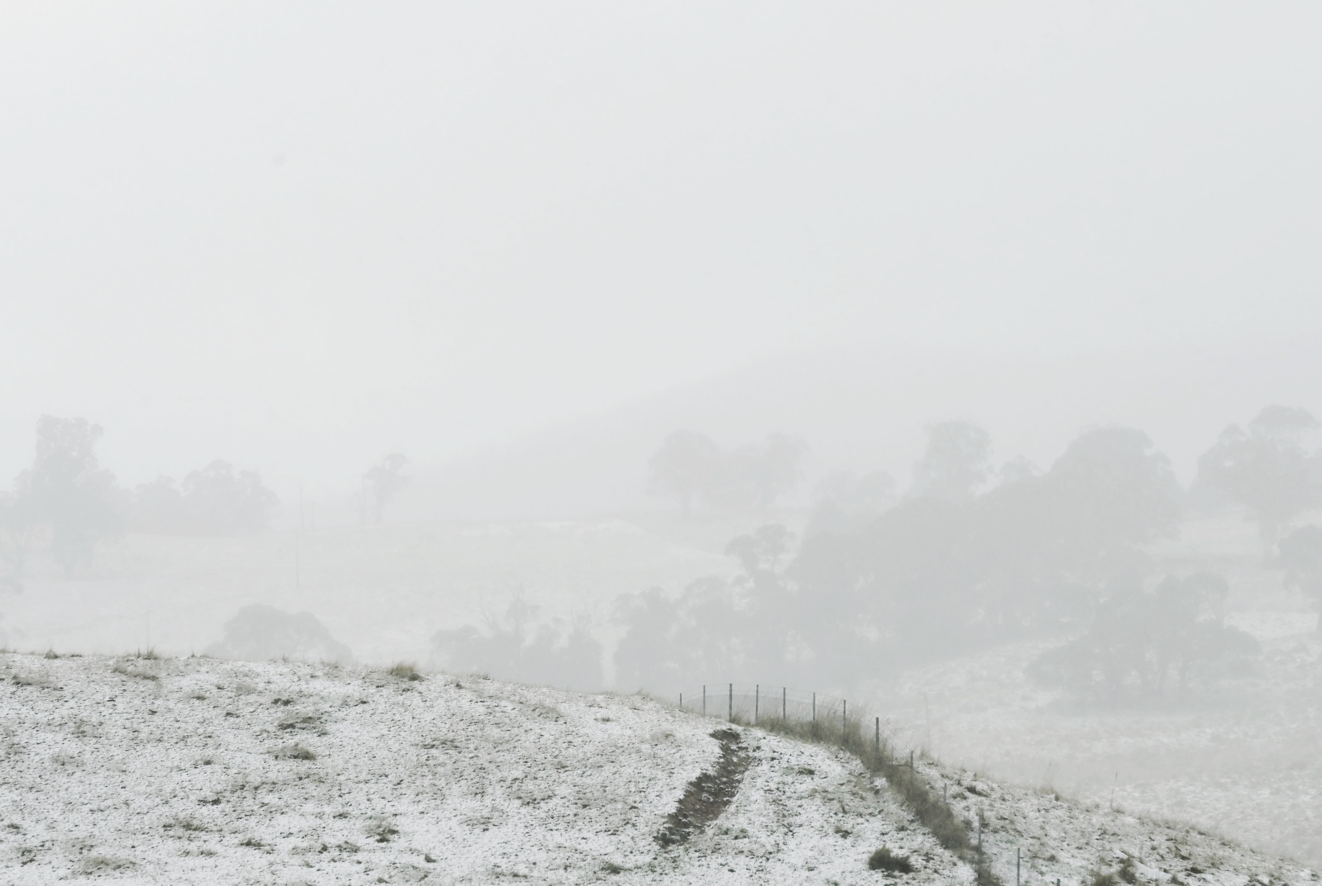 Snow covers the ground near Oberon where the temperature is 0 degrees. Oberon, NSW. 1st June, 2022. Photo: Kate Geraghty