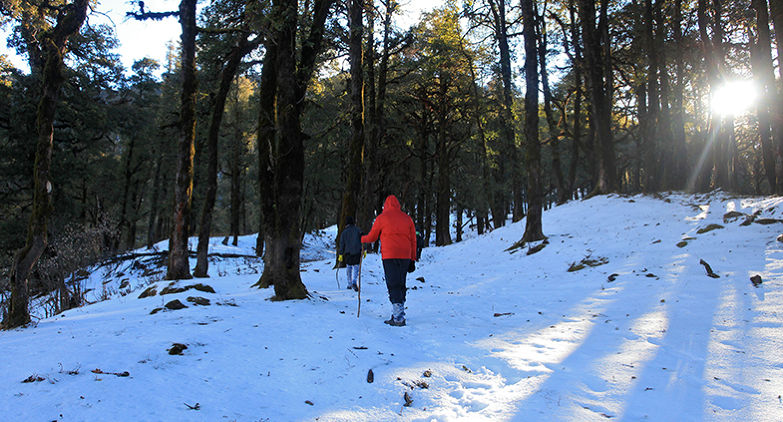 Nag Tibba Trek