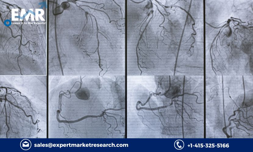 Acute Coronary Syndrome Treatment Market