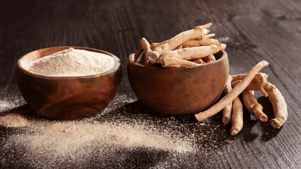 Ashwagandha benefits and healing impacts