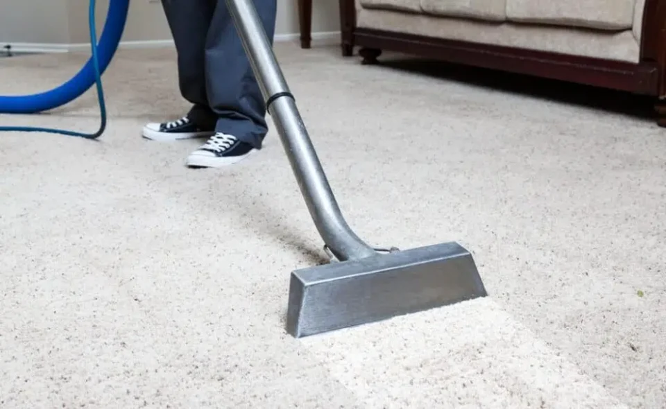 Say Goodbye to Dirty Carpets with Mosman Reliable Cleaning Services