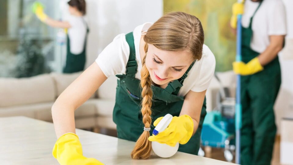 professional house cleaners in florida