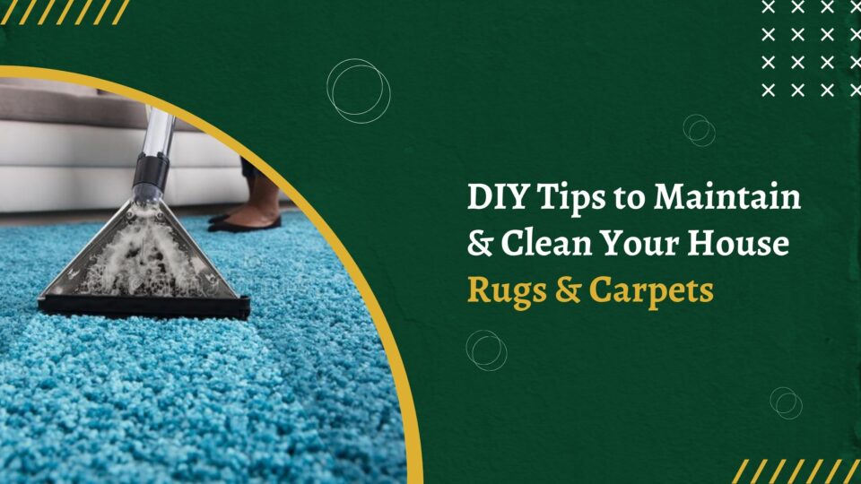 DIY Tips to Maintain & Clean Your House Rugs & Carpets