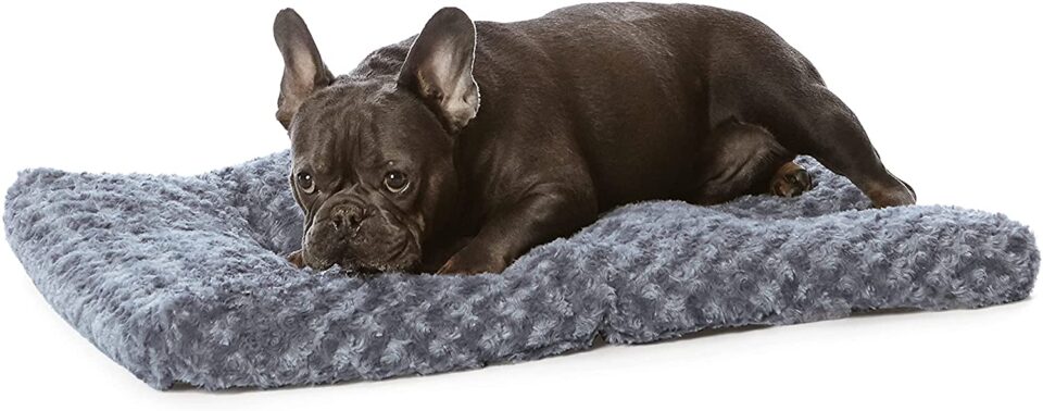 affordable dog beds