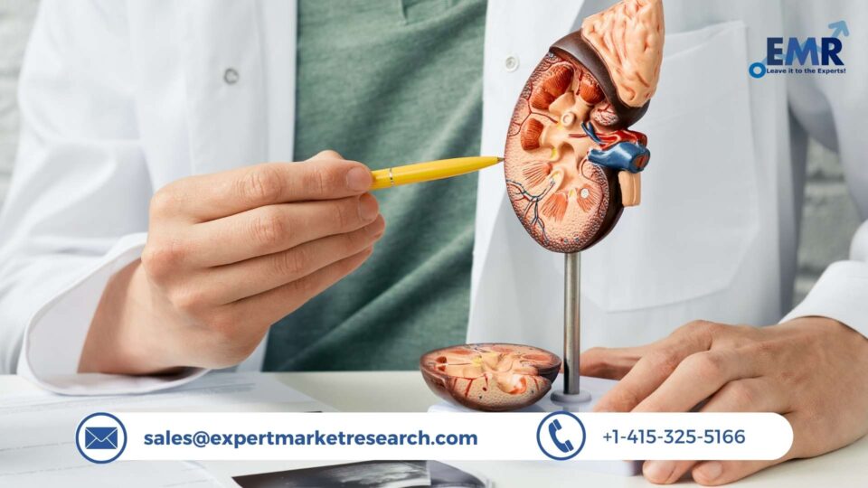 Kidney Stone Management Market