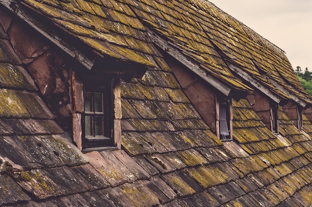 replace roof shingles