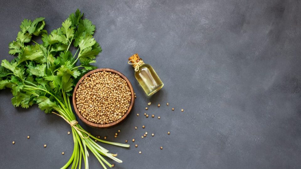 Numerous Wellness Benefits Of Coriander