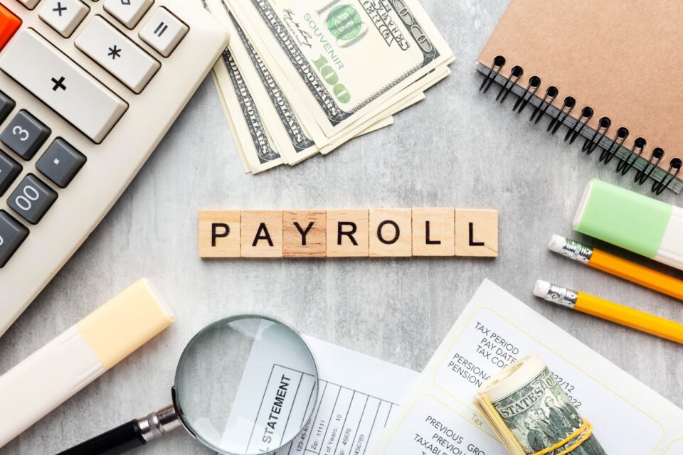 Hr Payroll Software Excellence