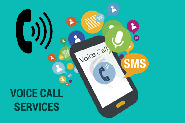 Voice Call Service