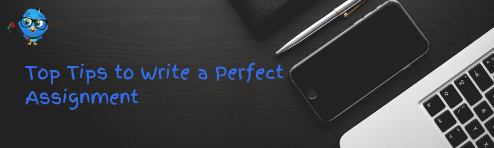 Top Tips to Write a Perfect Assignment