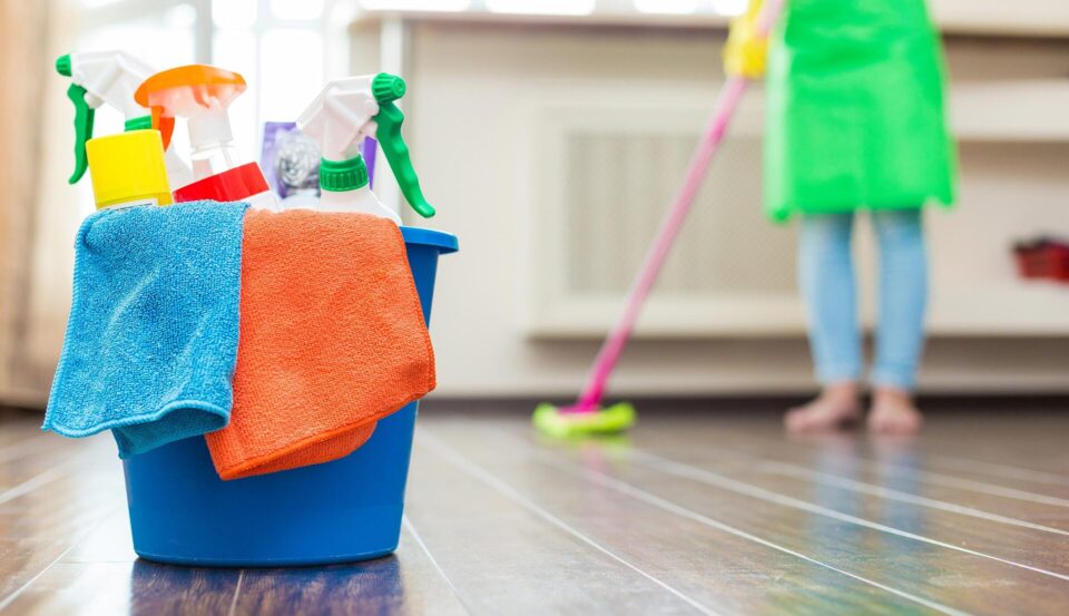 Professional House Cleaners