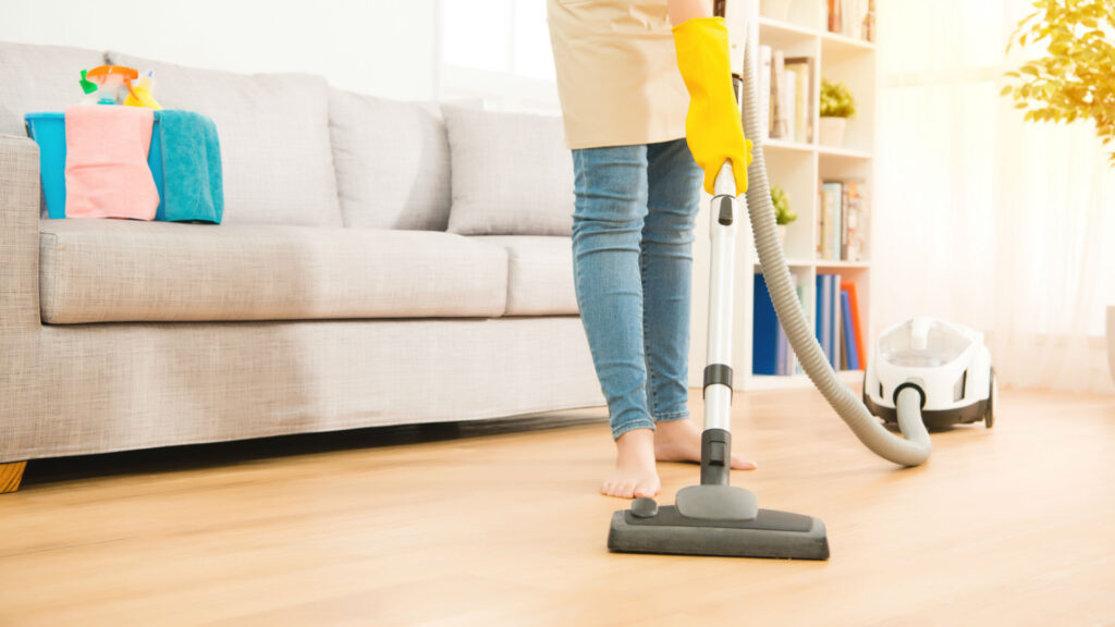 professional cleaning services