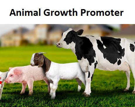 Animal Growth Promoters Market