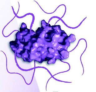 PEGylated Proteins Market