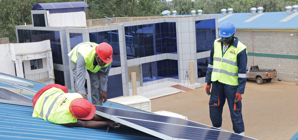 Solar Panel Bird Proofing