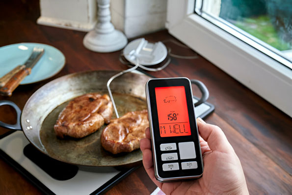 Food-Temperature-Monitoring