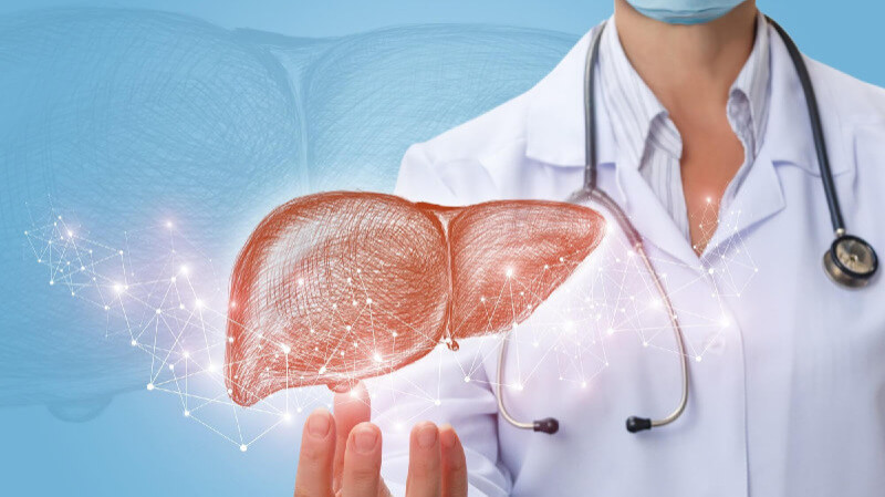 What to Expect During a Liver Transplant: Process and Care