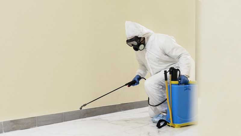 Damp Solution