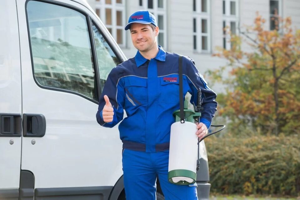 Pest Control Langley Bc
