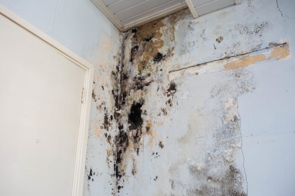 Water damage