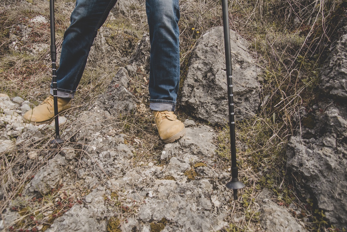 Walking Stick for Hiking i