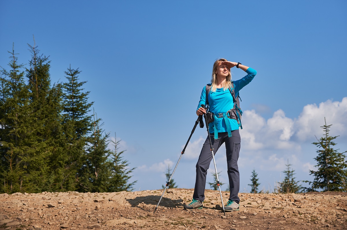 Walking Stick for Hiking