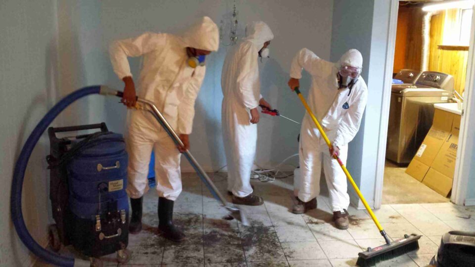 flood cleanup service