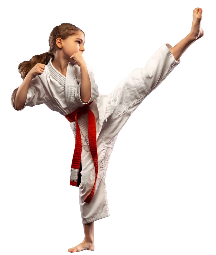 Taekwondo and Hapkido Differences Every Beginner in Brisbane Should Know
