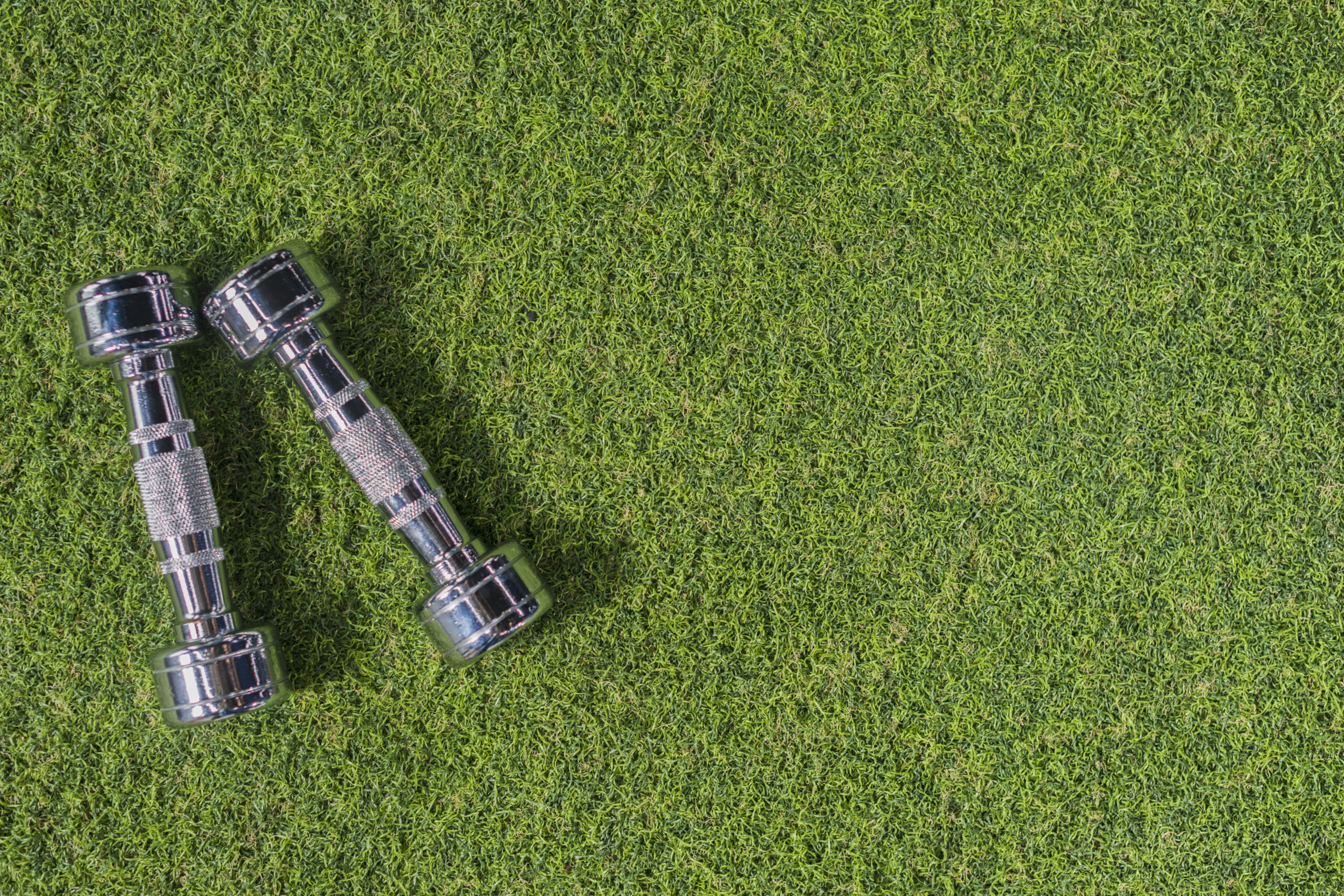 Synthetic Grass