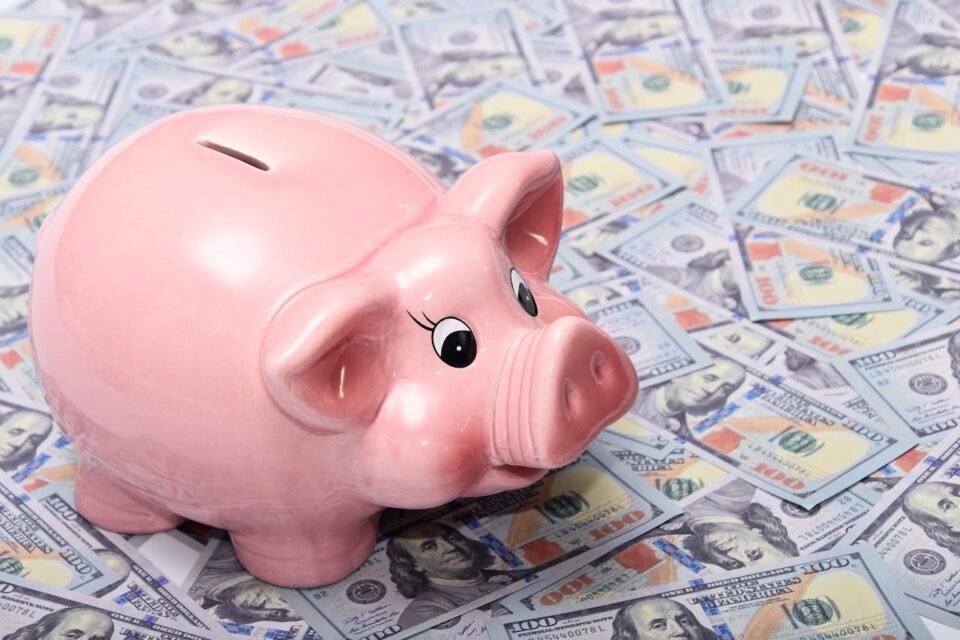 Photo by adrian vieriu: https://www.pexels.com/photo/piggy-bank-on-top-of-dollar-bills-11624823/