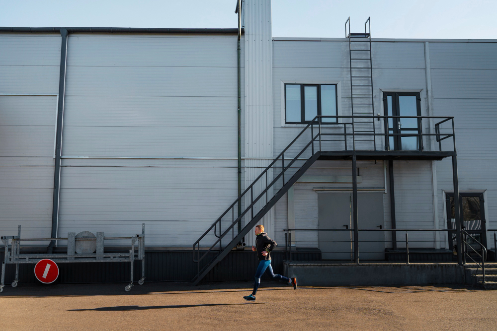 roof access platform