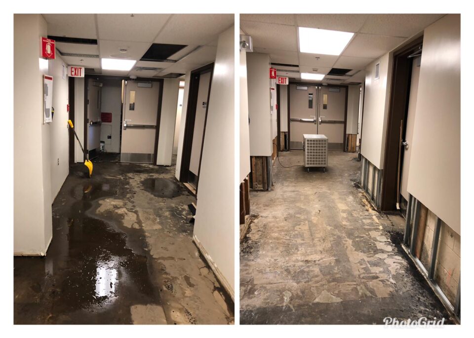 water damage Edmonton