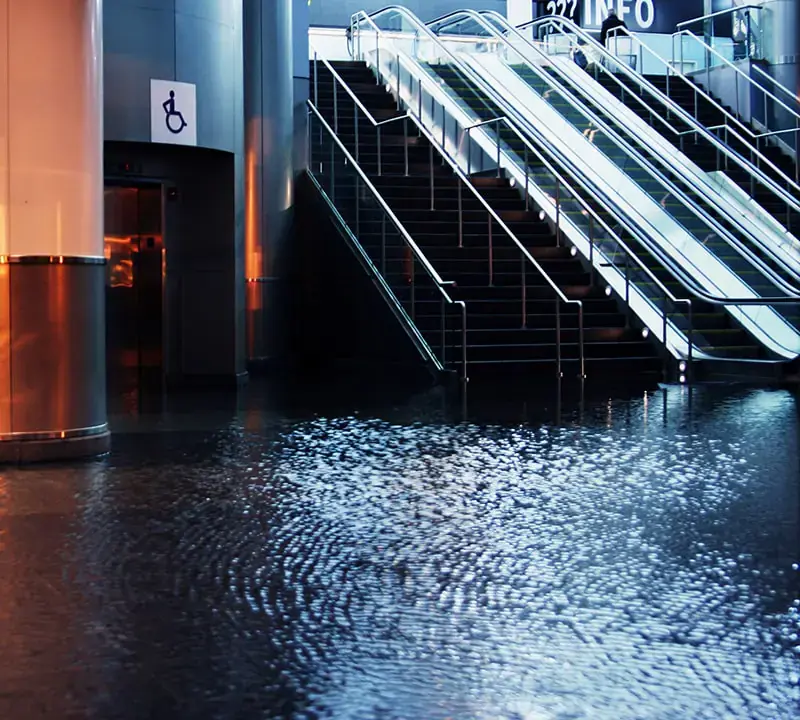 water mitigation Toronto